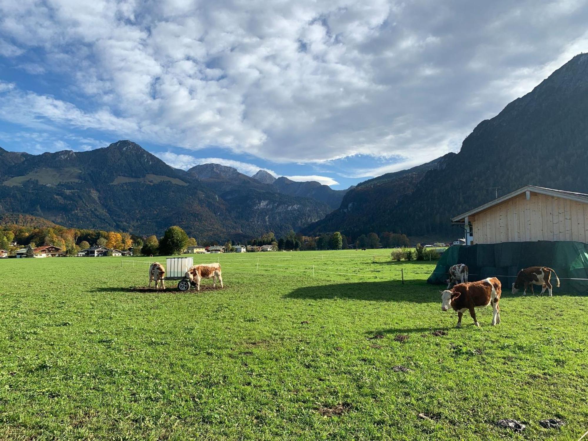 Ferienwohnung Hochkalterblick Schönau am Königssee Εξωτερικό φωτογραφία